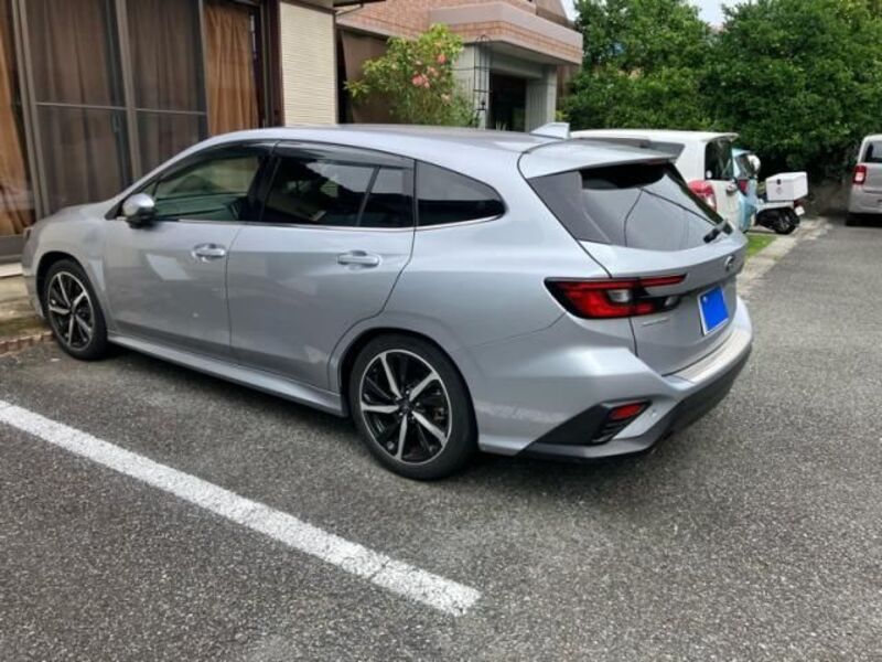 LEVORG-0