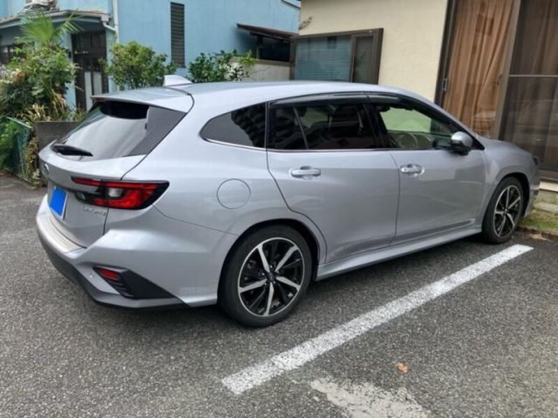 LEVORG