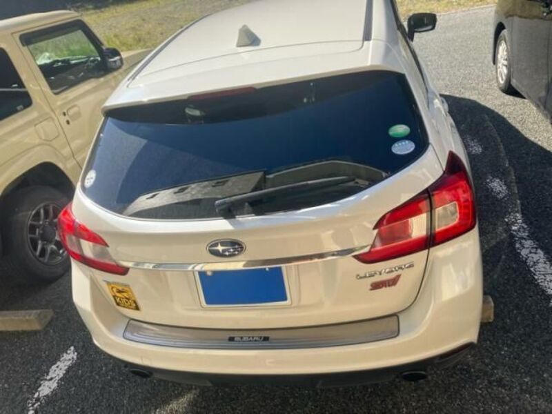 LEVORG
