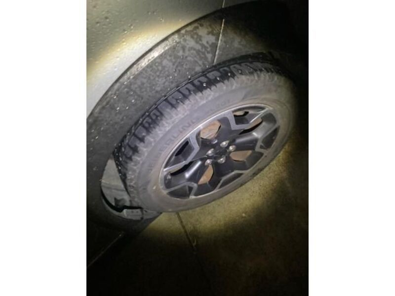XV