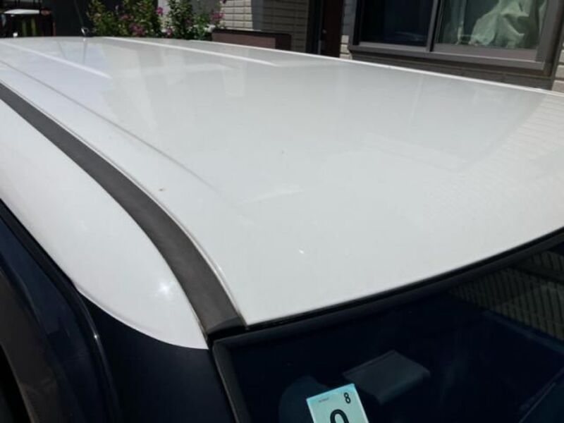 COROLLA RUMION