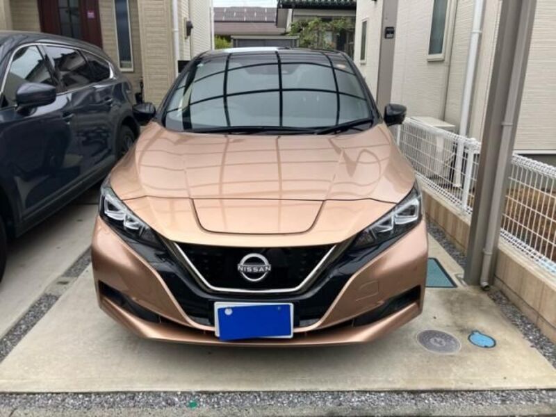 LEAF-0