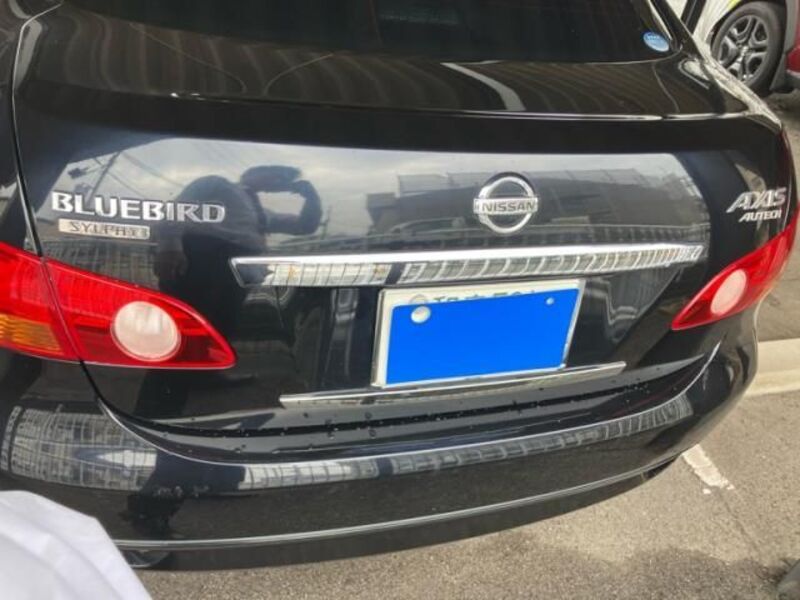 BLUEBIRD SYLPHY
