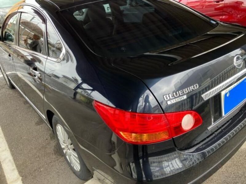 BLUEBIRD SYLPHY