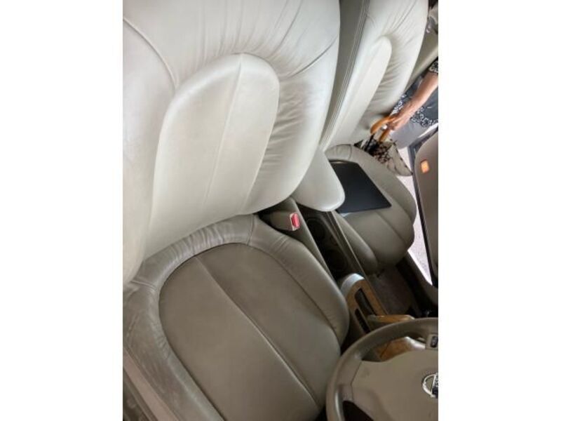 BLUEBIRD SYLPHY