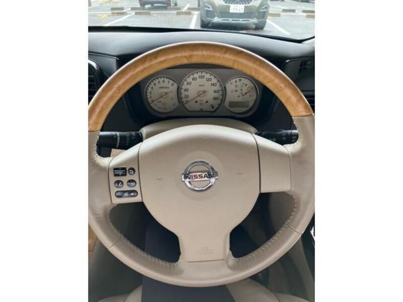 BLUEBIRD SYLPHY