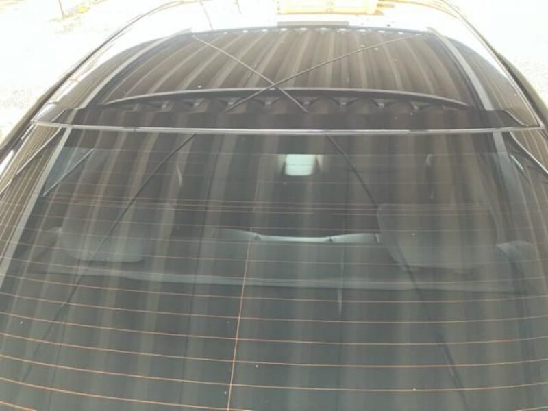 BLUEBIRD SYLPHY