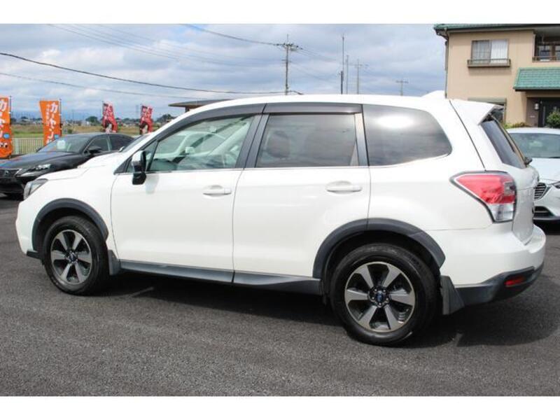 FORESTER