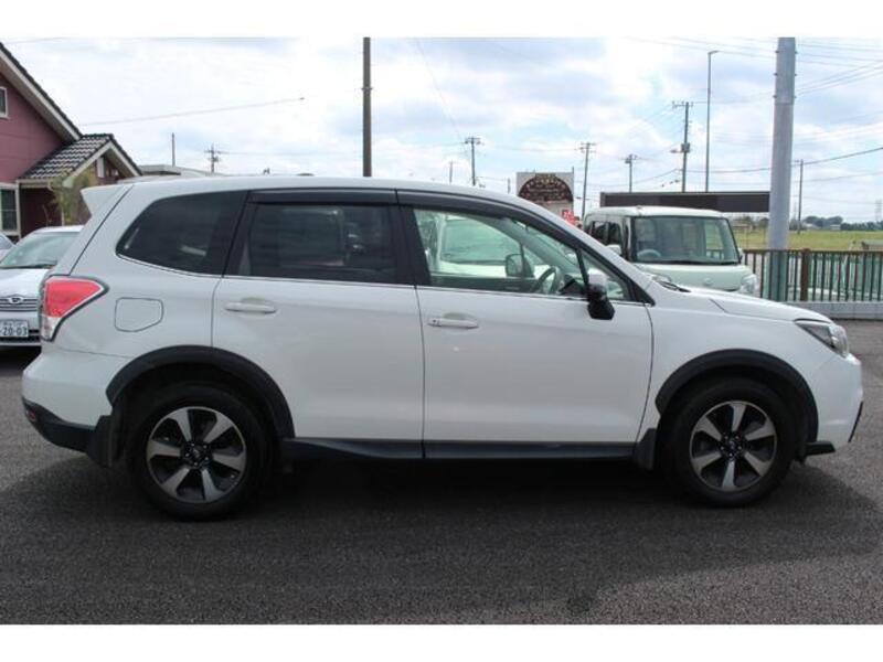 FORESTER