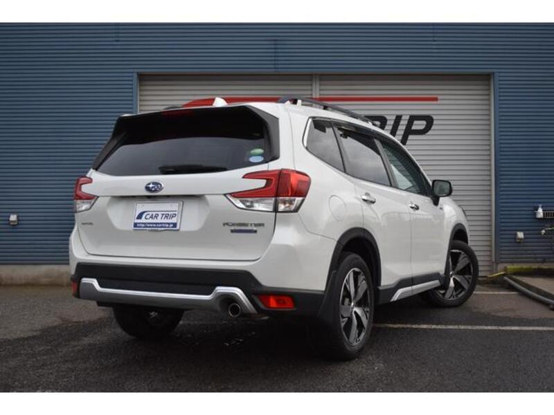 FORESTER