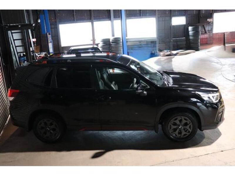 FORESTER
