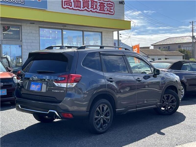 FORESTER
