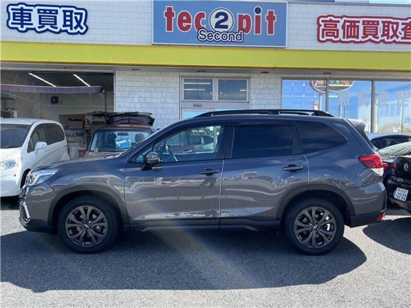 FORESTER