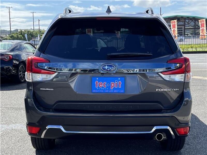 FORESTER