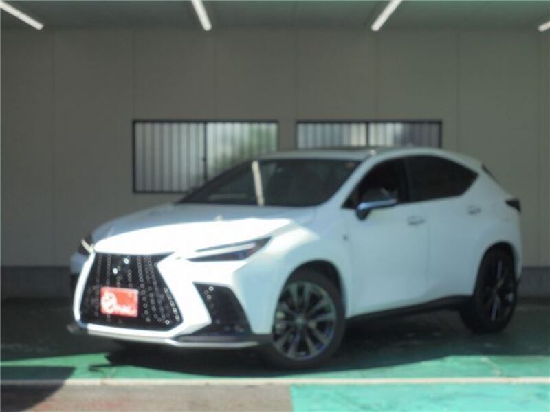 NX