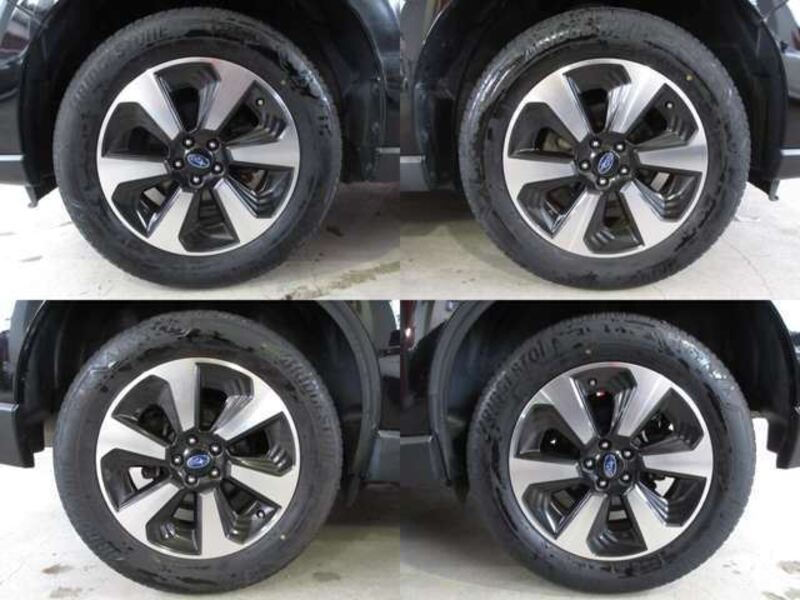 FORESTER