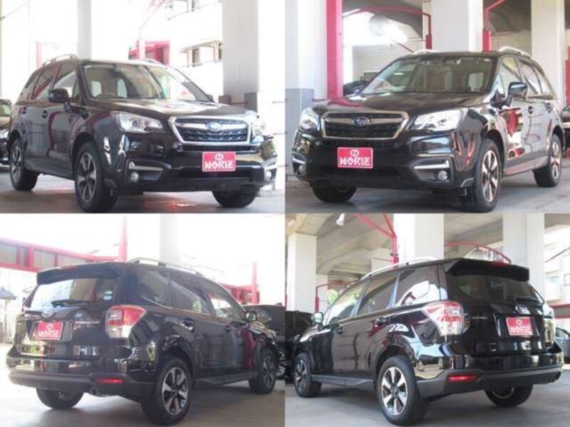 FORESTER