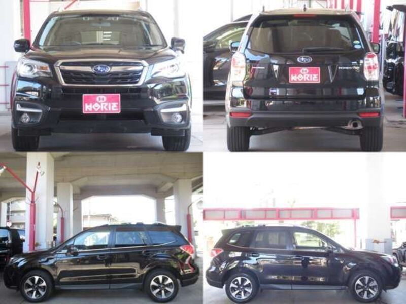 FORESTER