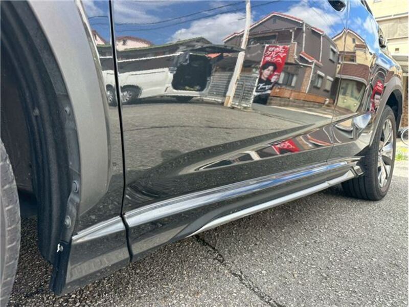 NX