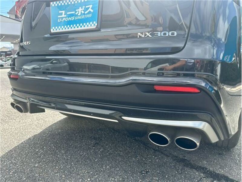 NX