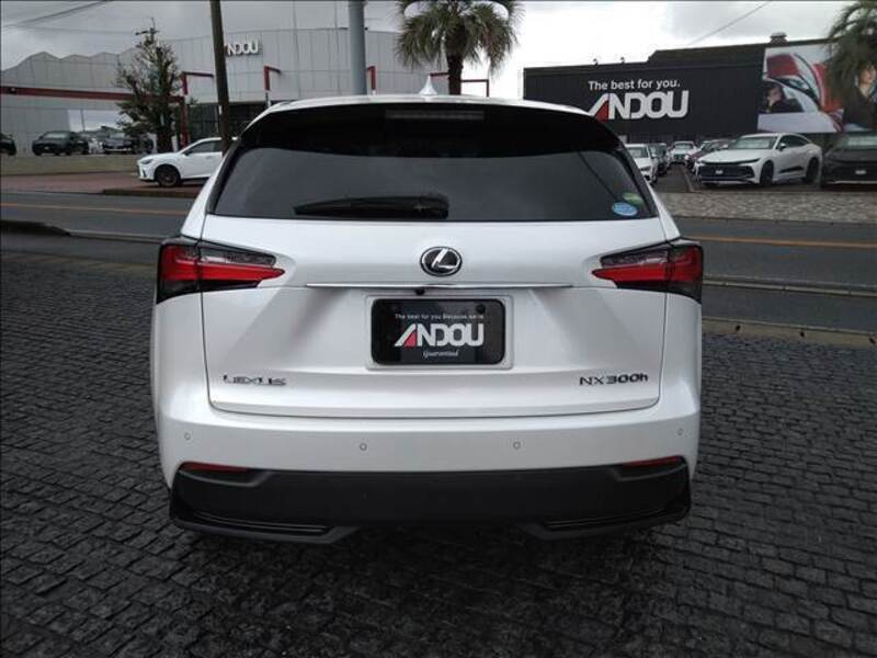 NX