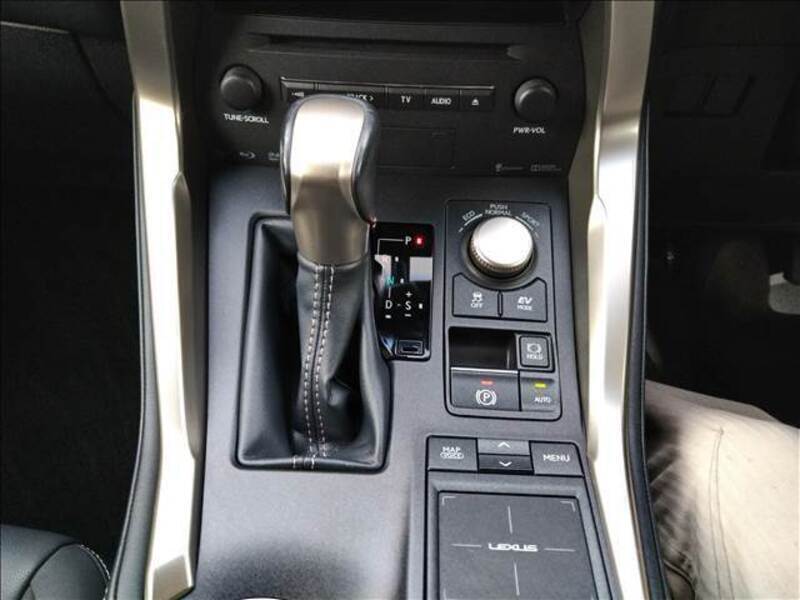 NX