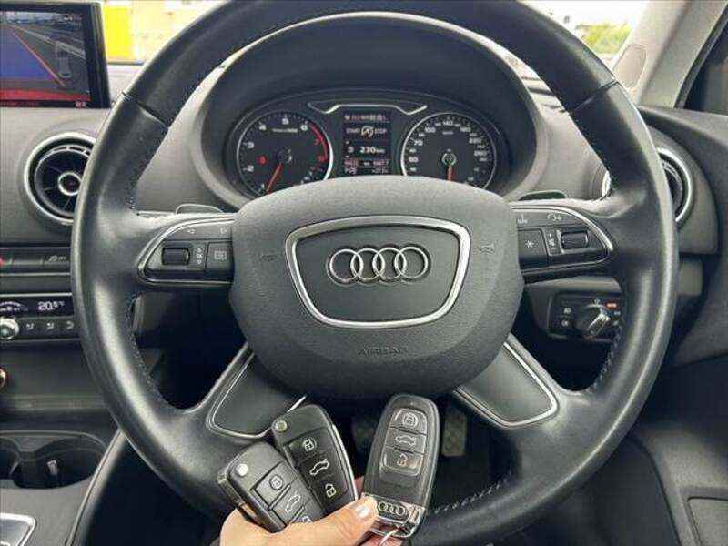 A3