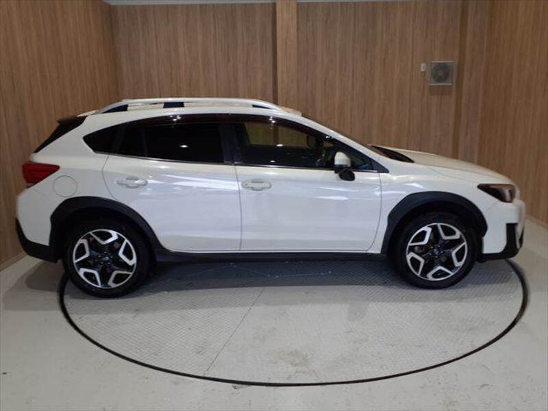 XV