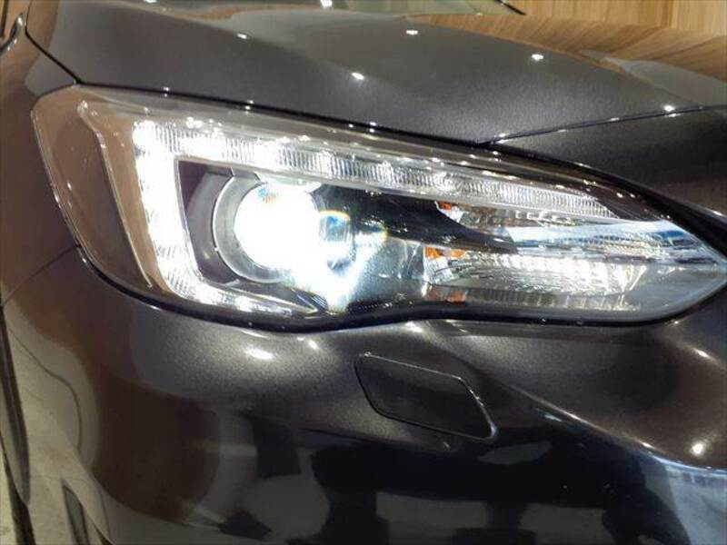 XV