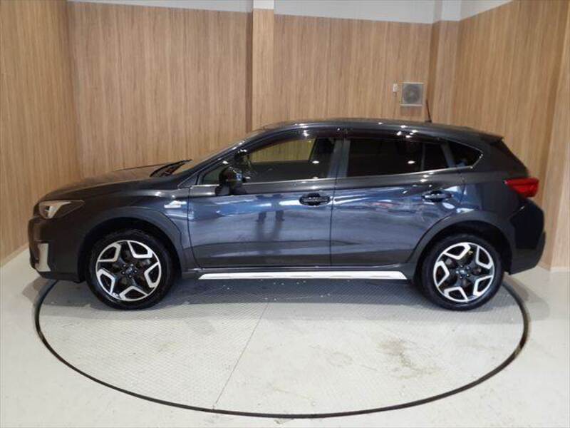 XV