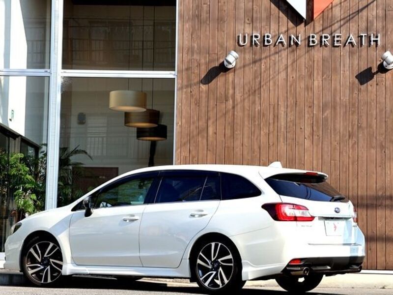 LEVORG