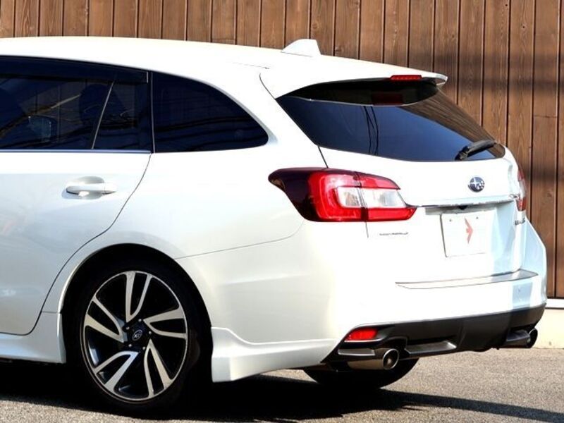LEVORG