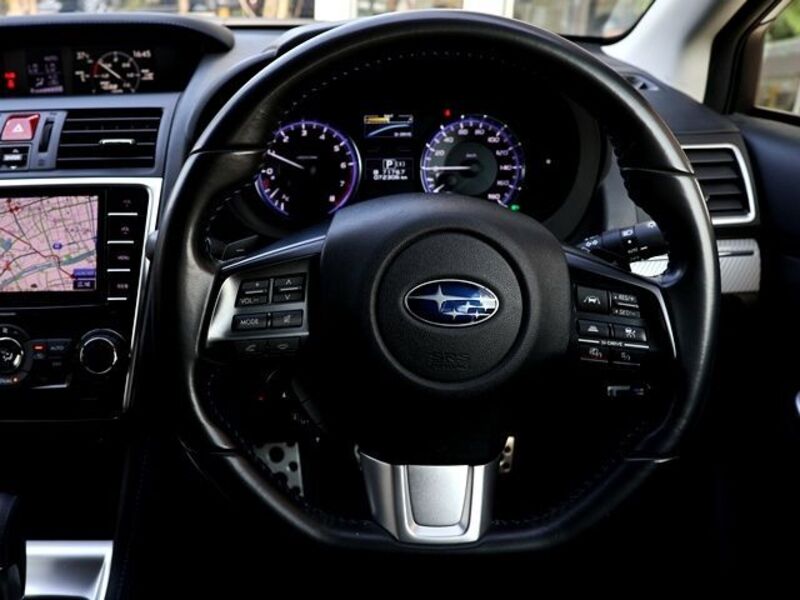 LEVORG