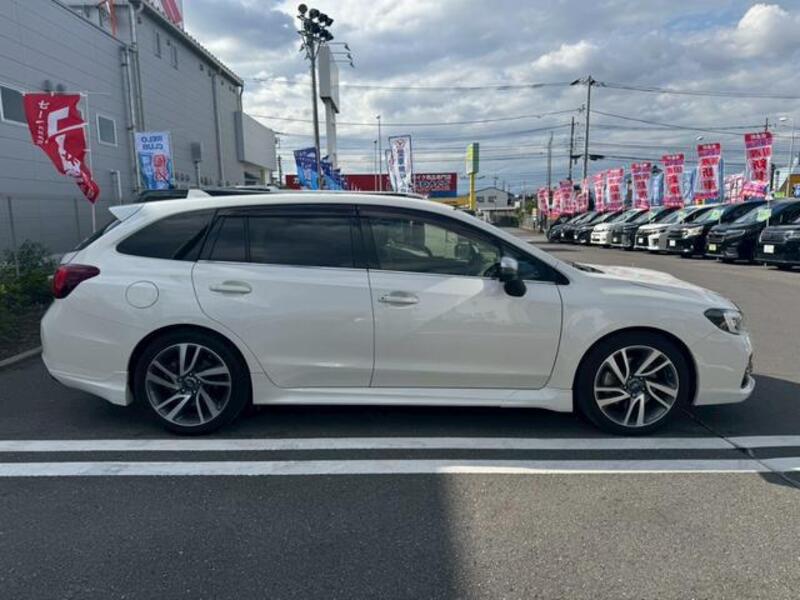LEVORG