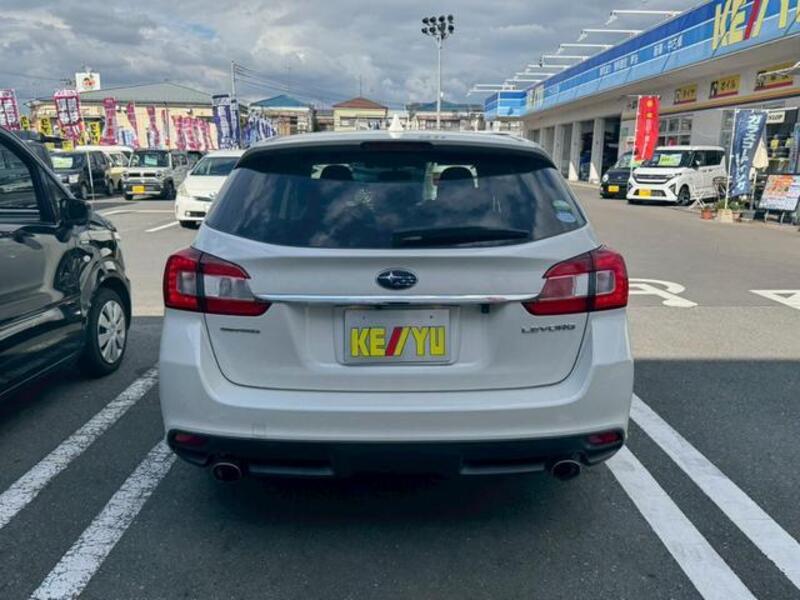 LEVORG