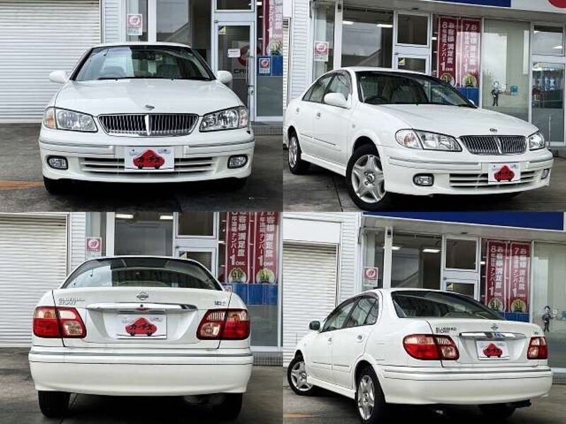 BLUEBIRD SYLPHY