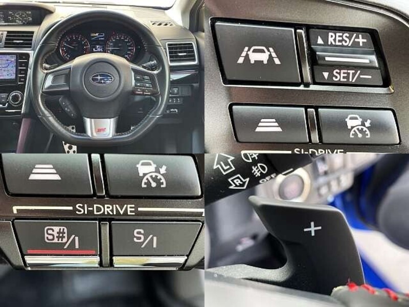 LEVORG