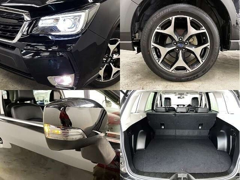 FORESTER
