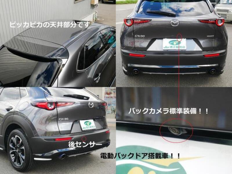 CX-30