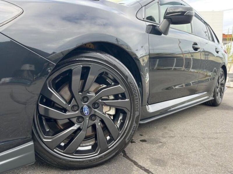 LEVORG