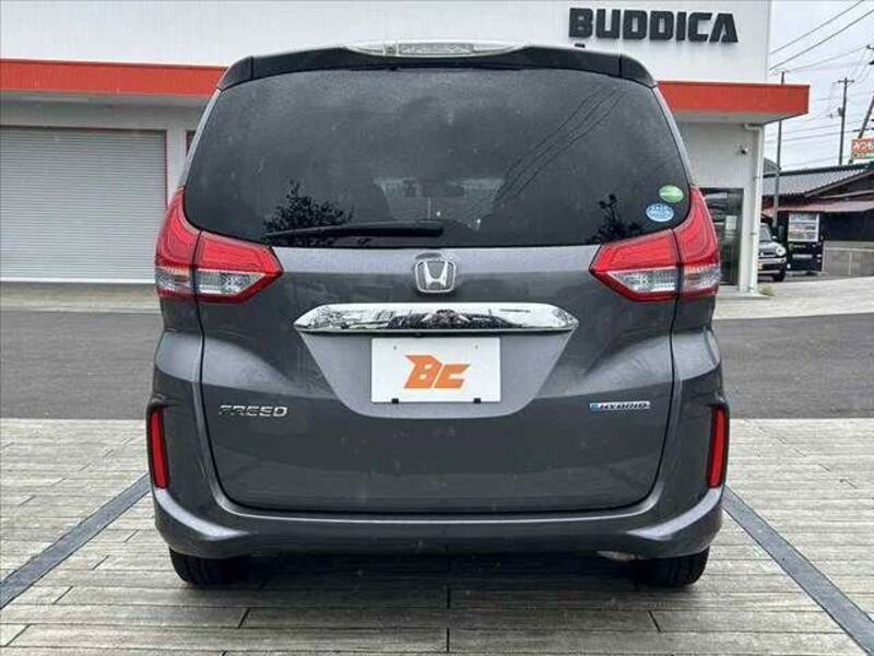 FREED HYBRID