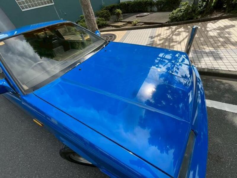 SKYLINE