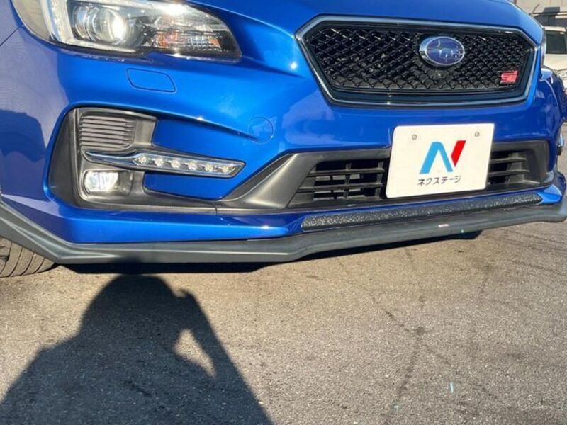 LEVORG
