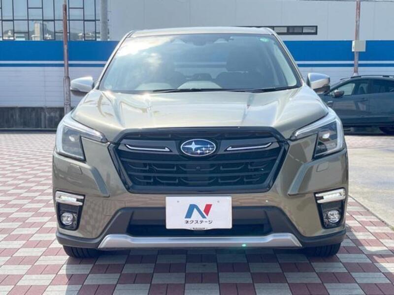 FORESTER