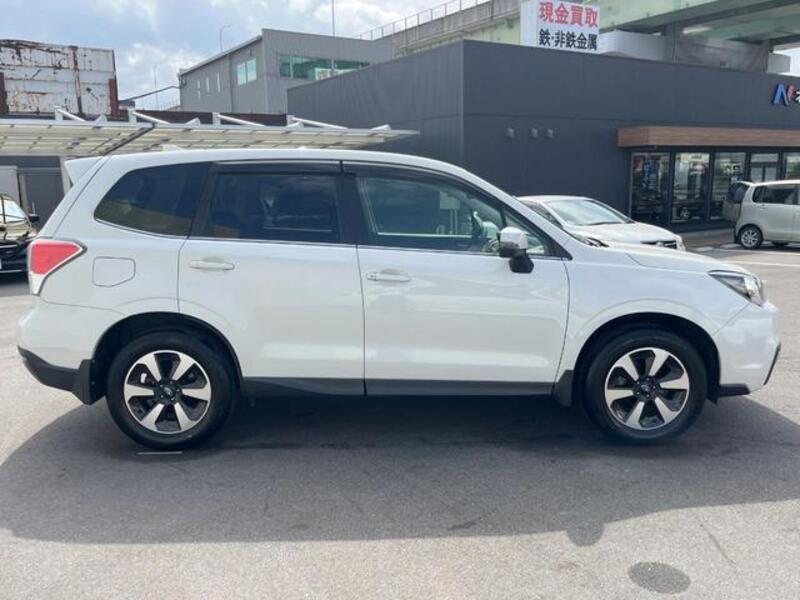 FORESTER