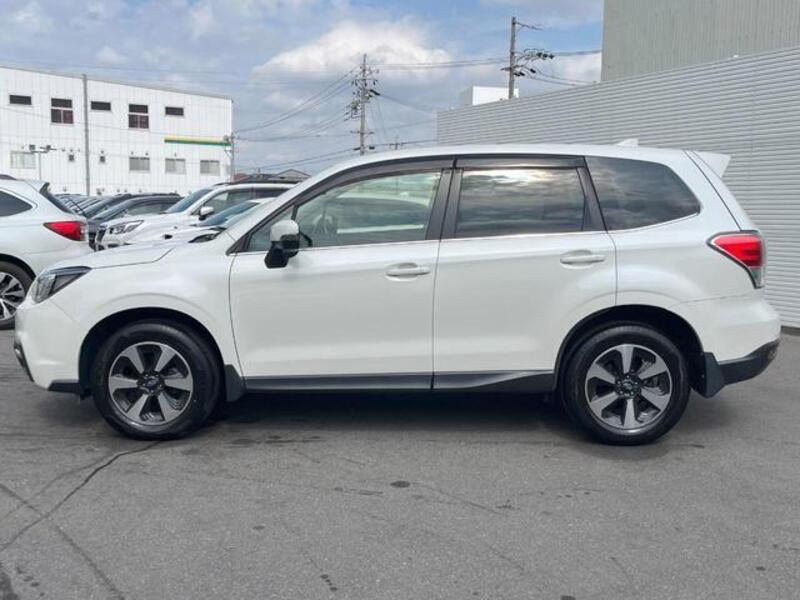 FORESTER