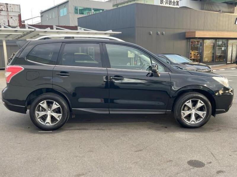 FORESTER