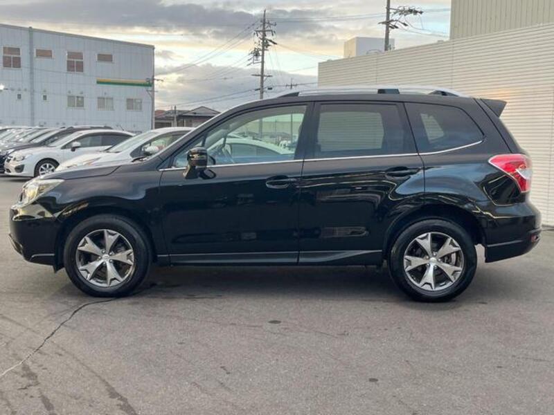 FORESTER
