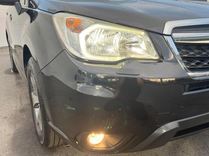 FORESTER