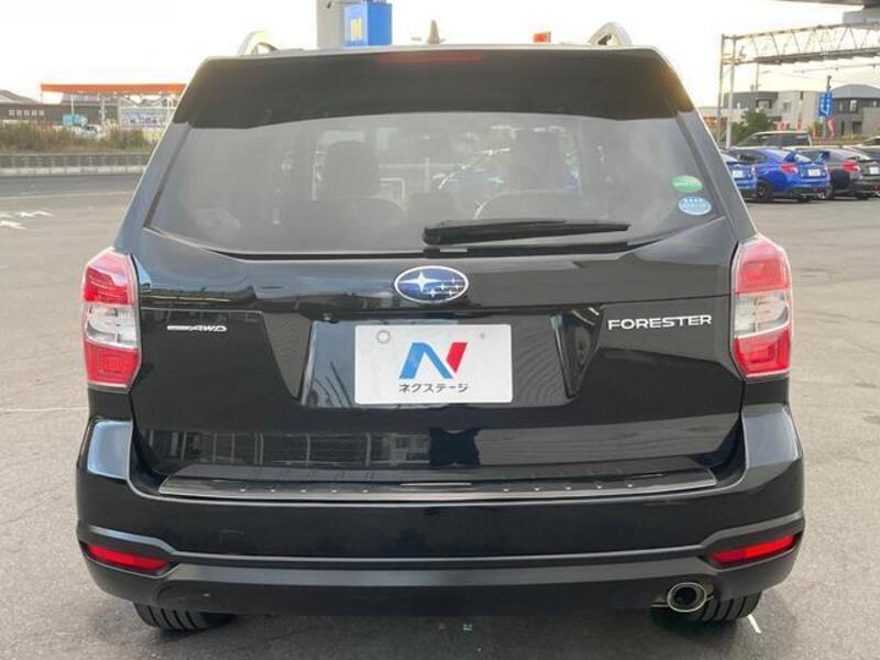 FORESTER